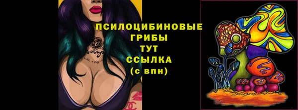 шишки Майский