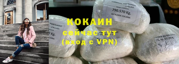 шишки Майский