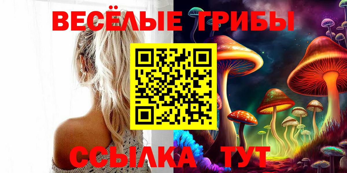 Галлюциногенные грибы прущие грибы  Псилоцибиновые грибы Magic Shrooms  Вход с VPN  Дюртюли 
